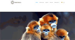 Desktop Screenshot of monkeyworlds.com